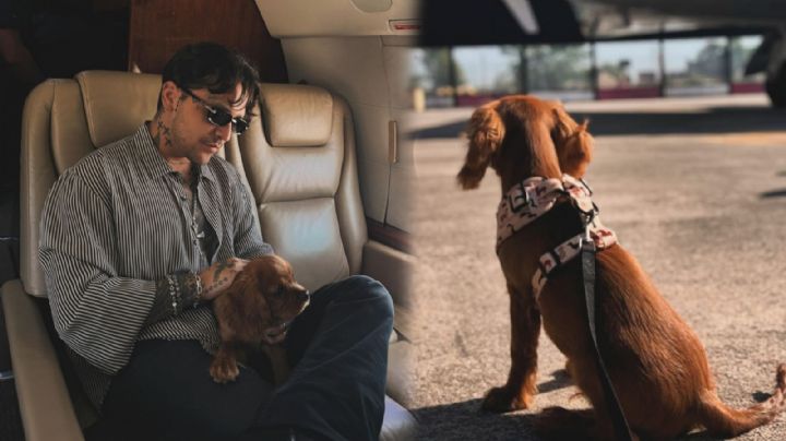 Christian Nodal responde a las criticas por preferir a su nueva mascota que a su hija
