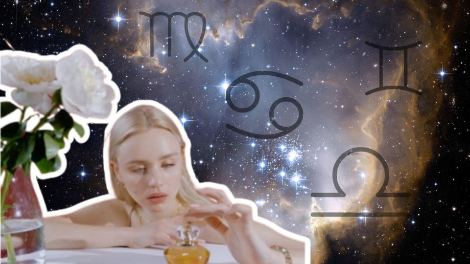 Estas fragancias no solo son un placer sensorial, sino también un medio para reconectar con lo espiritual y lo universal