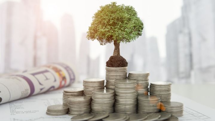 ¿Qué son los ETF's y cómo invertir en México en este instrumento financiero este 2026?