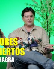 Foto descriptiva de: Top de conciertos en CDMX: el número uno fue simplemente el mejor del 2025