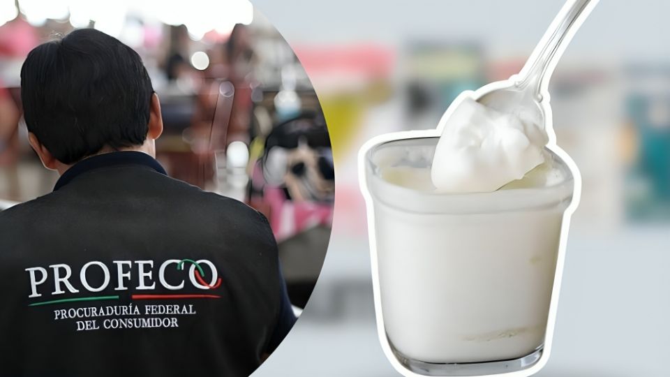 
¿Qué ‘yogurth griego’ y más saludable del mercado mexicano?
