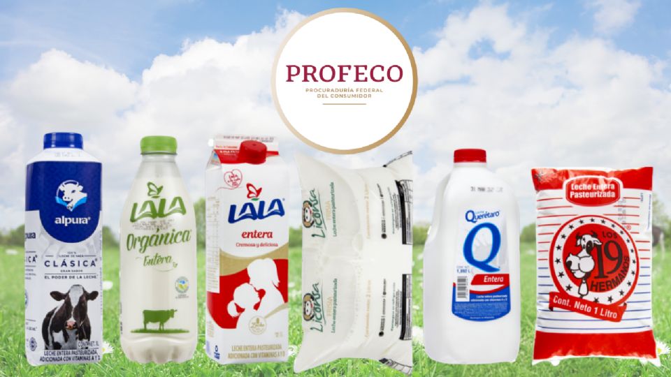 La Profeco analizó diversas marcas de leche