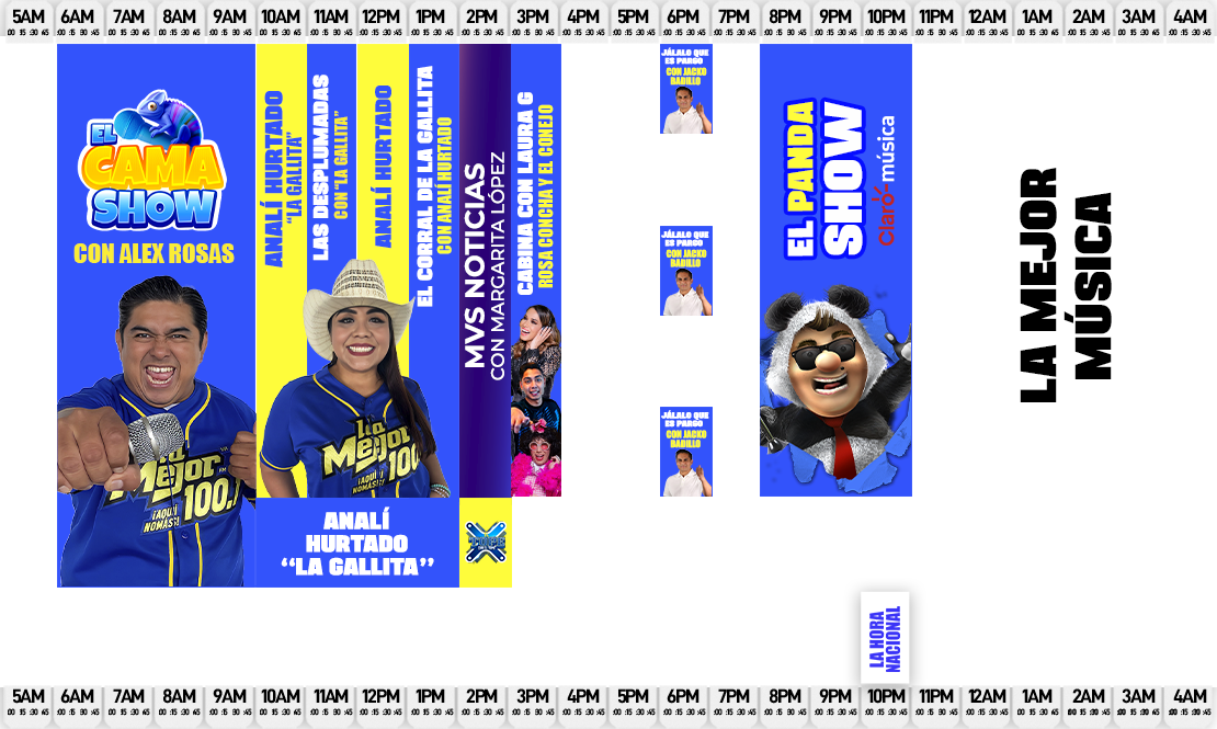 Cuerpo (Programación)