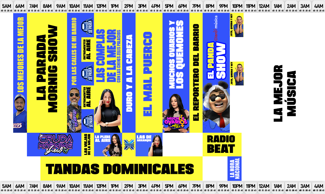 Cuerpo (Programación)