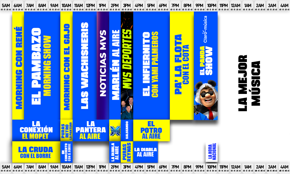 Cuerpo (Programación)