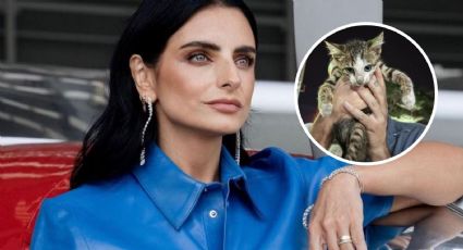 Aislinn Derbez da la bienvenida a nuevo integrante en su familia