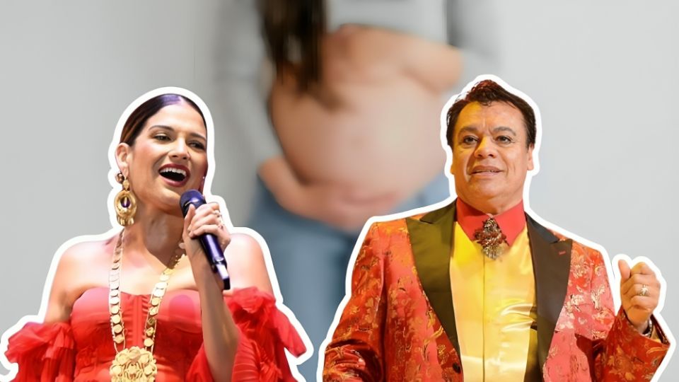 Juan Gabriel le pidió tener un hijo con él, aunque Natalia Jiménez.