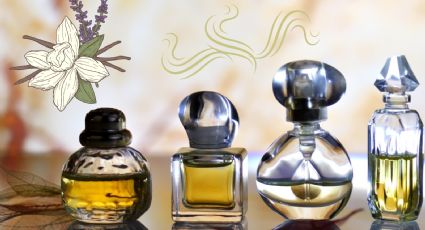 Notas de Salida, de Corazón y de Fondo, ¿Qué son y porqué son importantes en un perfume?