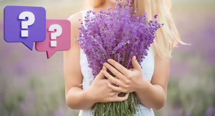 ¿Nuevo trend? Esta es la razón por la que se regala flores moradas HOY 9 de noviembre