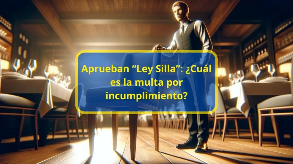 Multa por incumplimiento Ley Silla