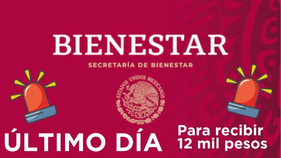 Pensión Bienestar