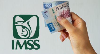 Modalidad 40 del IMSS: qué es, quién aplica y pasos para hacer el trámite