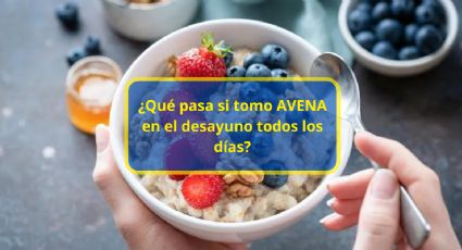 ¿Qué pasa si tomo avena en el desayuno todos los días? Esto dice la ciencia