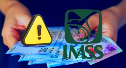 Este estado se verá afectado por retraso en el pago de Pensión IMSS de marzo