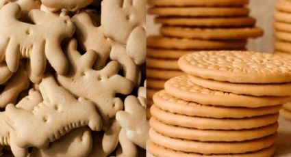 ¿Animalitos o Marías? Las mejores galletas para consumir según la Profeco