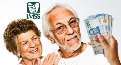 Pensiones IMSS: ¿Qué tipos hay y cuál me corresponde?