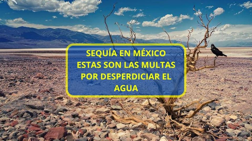 ¿De cuánto son las multas por desperdiciar agua?