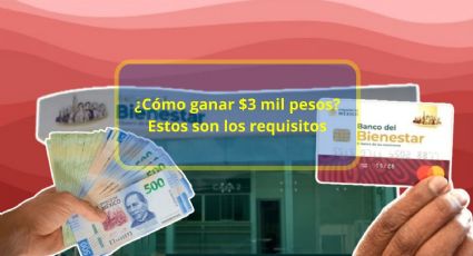 Bienestar dará más de $3 mil pesos a jóvenes menores de 29 años; Estos son los requisitos