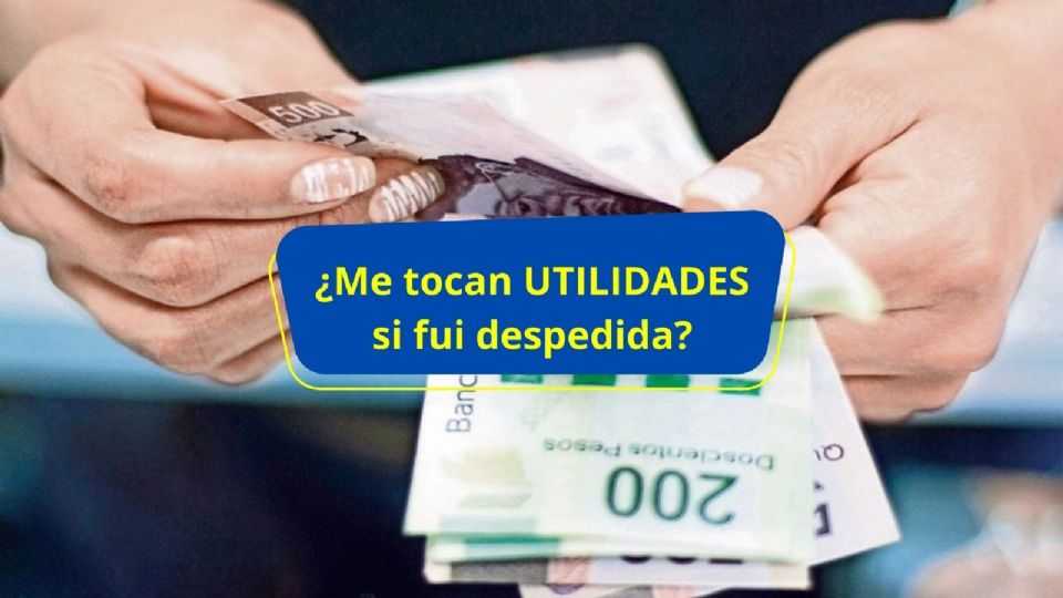 El reparto de utilidades es el derecho que tiene el trabajador a participar en las ganancias que obtiene una empresa o patrón por la actividad productiva.