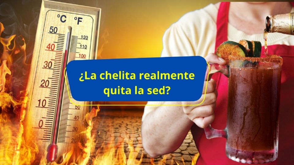 En medio de la ola de calor, es posible que te den ganas de tomar una o varias cervezas bien frías, sin embargo, el consumo de alcohol puede tener el efecto contrario en tu cuerpo.