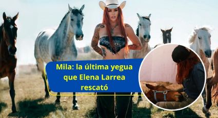 Mila fue la última yegua que Elena Larrea rescató, antes de fallecer a los 31 años