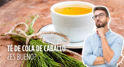 ¿Cuáles son los beneficios del té de cola de caballo?