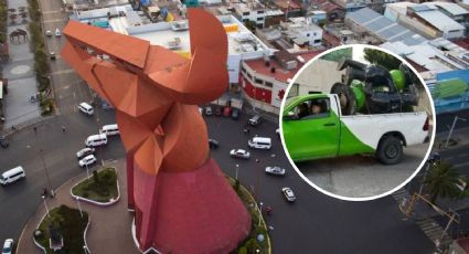 Rescatan a las Ranas de Acapulco ¡Estaban en NEZA!