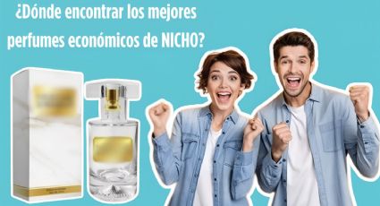 Aquí podrás encontrar perfumes de nicho tan económicos como duraderos