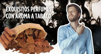 Los MEJORES perfumes para hombre en esta primavera 2024: ¡Con olor a tabaco!