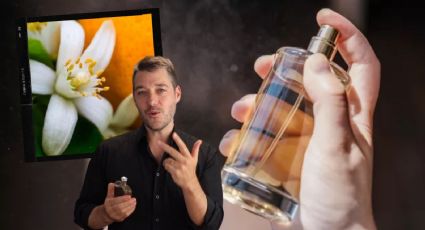 Los mejores perfumes para hombre con esencia relajante: ¡Seducen a cualquiera!