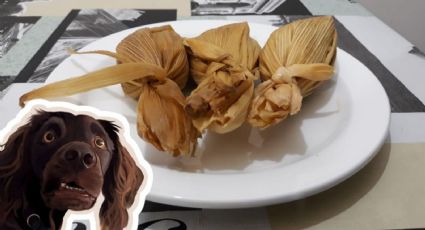 ¿Qué es el tamal de cabecita de perro y como prepararlo?