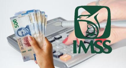 IMSS: ¿Hubo un error en tus semanas cotizadas? Así puedes usarlo para subir el monto de pensión