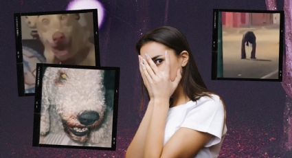 ¿Qué son lo Skinwalkers y por qué han conmocionado las redes sociales?