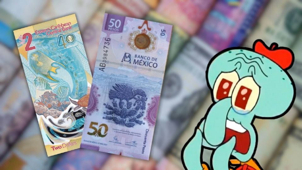 De acuerdo con la IBNS, este año se emitieron casi 100 nuevos billetes de distintas partes del mundo, pero solo 15 fueron considerados de diseño 'suficientemente nuevo'.