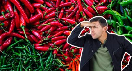 ¿Cuál es el chile más picante mexicano? Estos son las 5 más picantes de todo el mundo