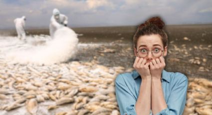 Sequía en México: Laguna de Bustillos en Chihuahua está a punto de quedarse sin agua; mueren miles de peces