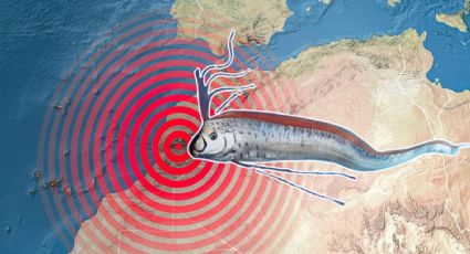 ¿Qué es un pez remo y qué significa? Estos son los presagios que anuncia y su relación con el fin del mundo