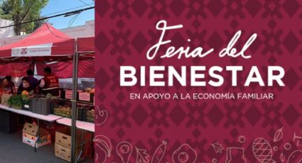 Ferias del Bienestar en CDMX: ¿Cuándo, dónde y que servicios tendrán?