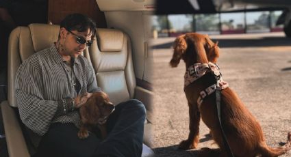 Christian Nodal responde a las criticas por preferir a su nueva mascota que a su hija