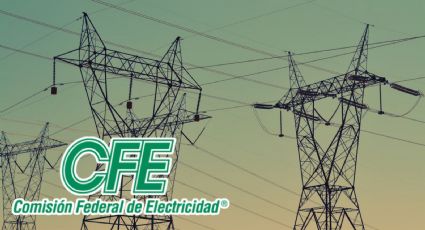 Así puedes obtener el DESCUENTO del 40% en tu recibo de luz en julio 2024