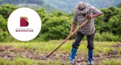 Producción para el Bienestar 2024: Este es el programa que te da hasta 24 MIL pesos; conoce los requisitos