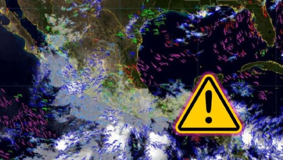 Huracán Beryl en México: Ley seca y suspensión de clases en Quintana Roo; estas son las precauciones ante su llegada