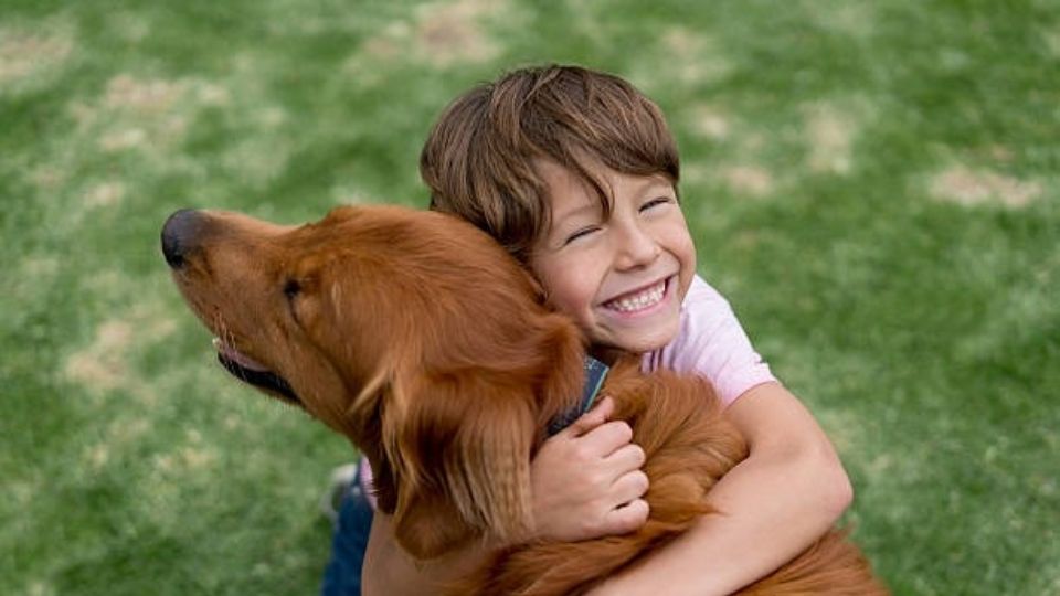 Descubre las 5 mejores razas de perros para una casa con niños, según especialistas. Fuente: Foto: iStock
