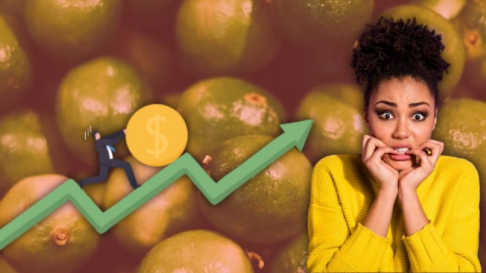 Aumenta el precio del kg de limones ¿en cuánto está?