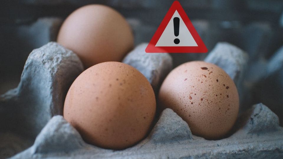 Este incidente resalta la importancia de revisar los productos que consumimos y estar atentos a las alertas sanitarias para proteger nuestra salud