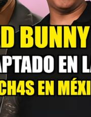Foto descriptiva de: Bad Bunny es captado en las luchas en México: ¿Era él el enmascarado con la máscara del Místico?