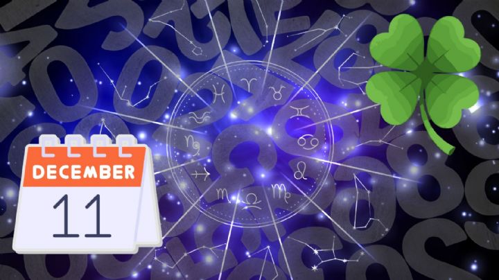 Números de la suerte para cada signo HOY 11 de diciembre, según Mizada Mohamed