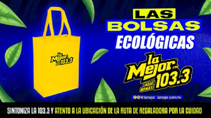 BOLSAS ECOLÓGICAS