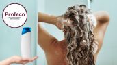 Foto ilustrativa de la nota titulada: Las mejores marcas de shampoo, ideales para el baño perfecto, según Profeco