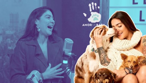¿Cómo nació “Amor Sin Raza”, un proyecto que cruza fronteras para salvar la vida de animales? 